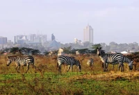 Nairobi: What's the time and why should I care?