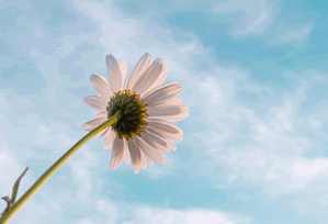 Cryptocurrency Market Analysis: Unveiling the Future and What It Means for Us